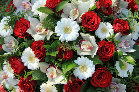 大花蕙兰、红玫瑰和白非洲菊
