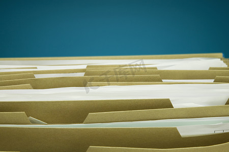 

家庭档案分隔板用于税收抵押贷款收据和所有家庭文件