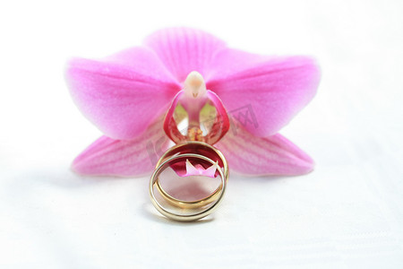 金蝴蝶摄影照片_粉色兰花和结婚戒指