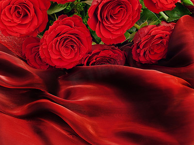 红色玫瑰图案酒红布料