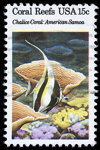 美国印制的邮票显示珊瑚礁、圣杯珊瑚