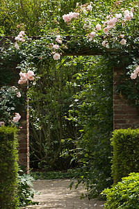 玫瑰花园摄影照片_玫瑰花园石墙门