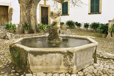 庭院中的喷泉