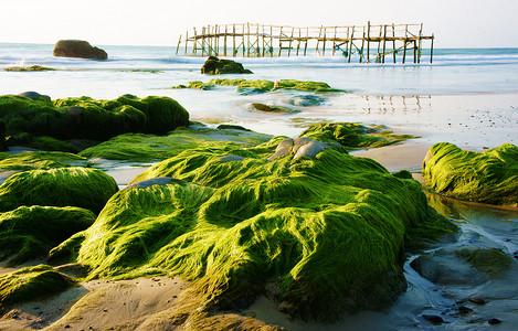 令人印象深刻的风景与绿色苔藓，海滩上的石头