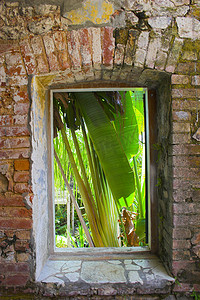 绿色墙面摄影照片_热带建筑设计