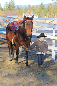 招商引领摄影照片_牛仔和马