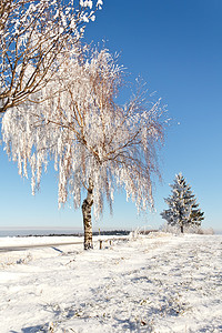 冷淡摄影照片_在一个晴朗的冷淡的天的冬天领域