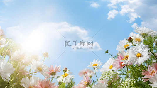 简约鲜花花朵植物主题背景