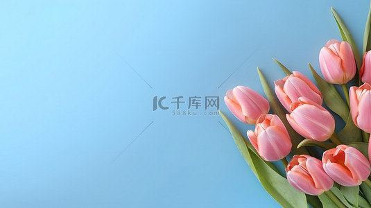 春天背景图片_简约鲜花花朵植物主题背景