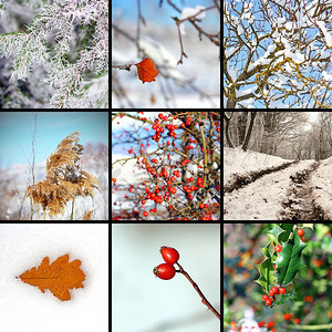 collage with winter 图片