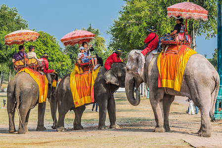 著名的地方摄影照片_游客骑大象大城府曼谷泰国