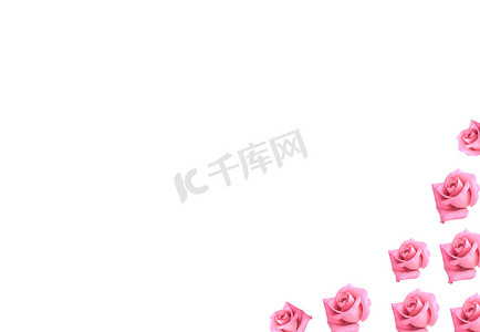 粉色玫瑰花朵边框剪贴簿背景