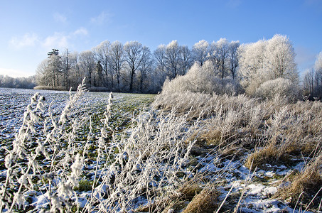 冷淡摄影照片_美丽的冬季白霜雾凇景观