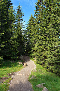 高山步道