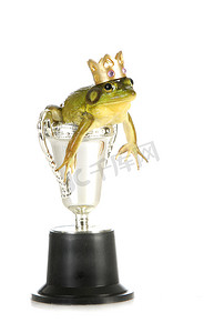 奖杯中的青蛙