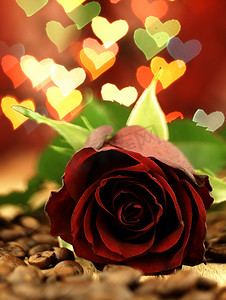 党在我心中摄影照片_一张木桌和心中的红玫瑰。