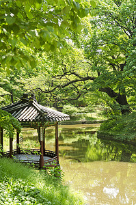 韩国首尔的花园池塘
