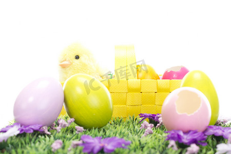 复活节兔子祝大家复活节快乐！