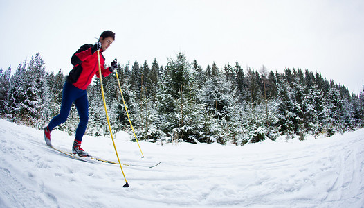 跨部门活动摄影照片_年轻人在多雪的森林小径上越野滑雪