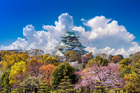 日本大阪的樱花和城堡。