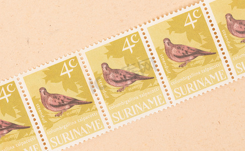 苏里南 — 大约 1980 年：一张印在苏里南的邮票显示一只鸟，