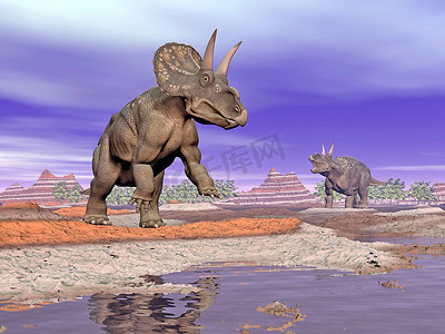 自然界中的二角龙恐龙 — 3D渲染