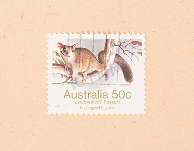 澳大利亚 — 大约 1980 年：在澳大利亚打印的邮票显示 Lea