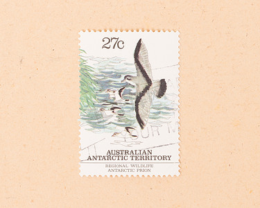 澳大利亚 — 大约 1980 年：在澳大利亚打印的邮票显示了 bir