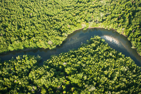 红树林和河流的鸟瞰图