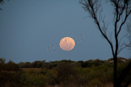 大海月亮摄影照片_蓝色时段月亮从澳大利亚埃克斯茅斯的地平线升起