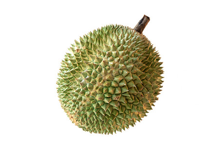 马来西亚著名水果榴莲黑刺