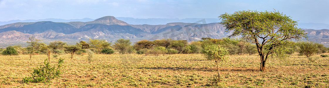 埃塞俄比亚阿瓦什国家公园的稀树草原