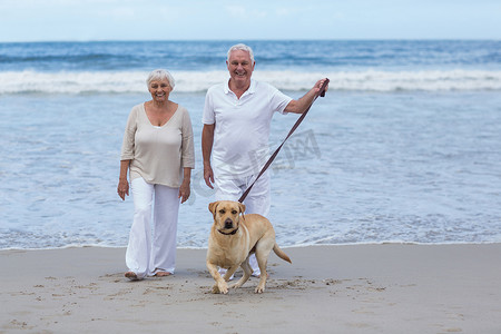 老年夫妇带着狗在沙滩上散步