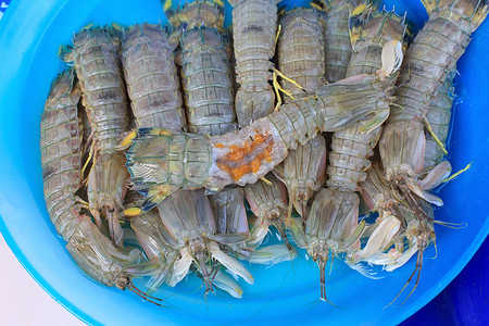 蓝色小龙虾摄影照片_新鲜海鲜市场上的螳螂虾（小龙虾）
