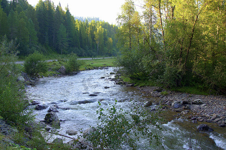 流经森林的一条小山河的晨景。