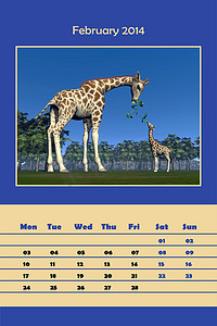 2014 年 2 月的 Safari 日历