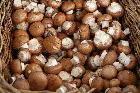 零售的棕色香菇食用菌