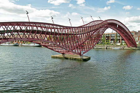 荷兰阿姆斯特丹的 Python 桥