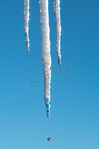 滴落摄影照片_冰柱在春天融化并滴落在蓝天的映衬下。气象学、全球变暖和融化的冰雪。