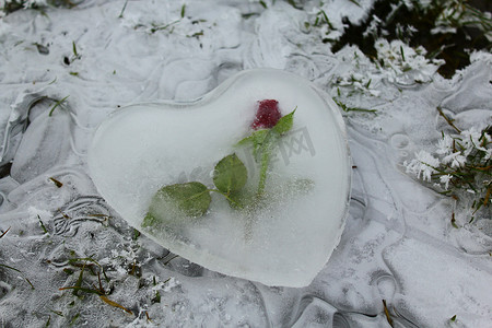 冰心与冰冻水面上的玫瑰