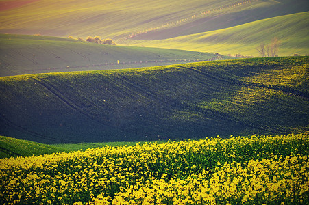 捷克共和国摩拉维亚托斯卡纳春天日落风景照片