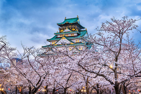 日本大阪的樱花和城堡。