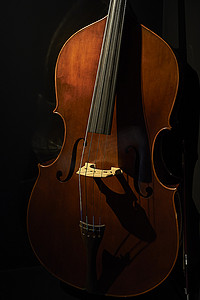 黑色背景下大提琴的特写