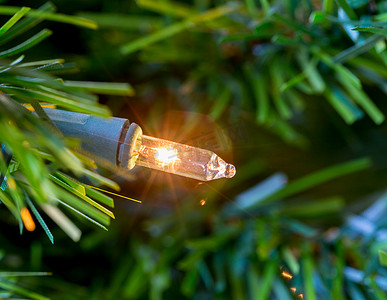 圣诞树上的单个微型灯泡