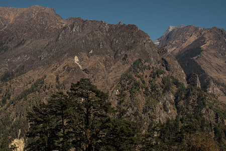 森林演唱会摄影照片_尼泊尔山脉沿安纳布尔纳峰环路