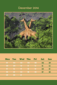 2014 年 12 月的 Safari 日历