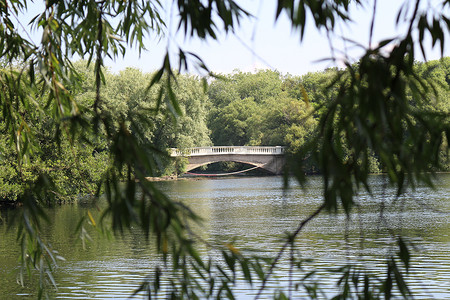 树叶边框树枝边框摄影照片_穿过柳树枝的桥