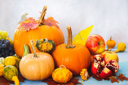 秋季静物画，有可食用和装饰性的南瓜和葫芦、葡萄、苹果和石榴，有选择的焦点