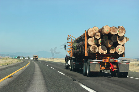 路上运木头的大货车