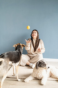 宠物家摄影照片_美丽的女人和混种狗在家里打球